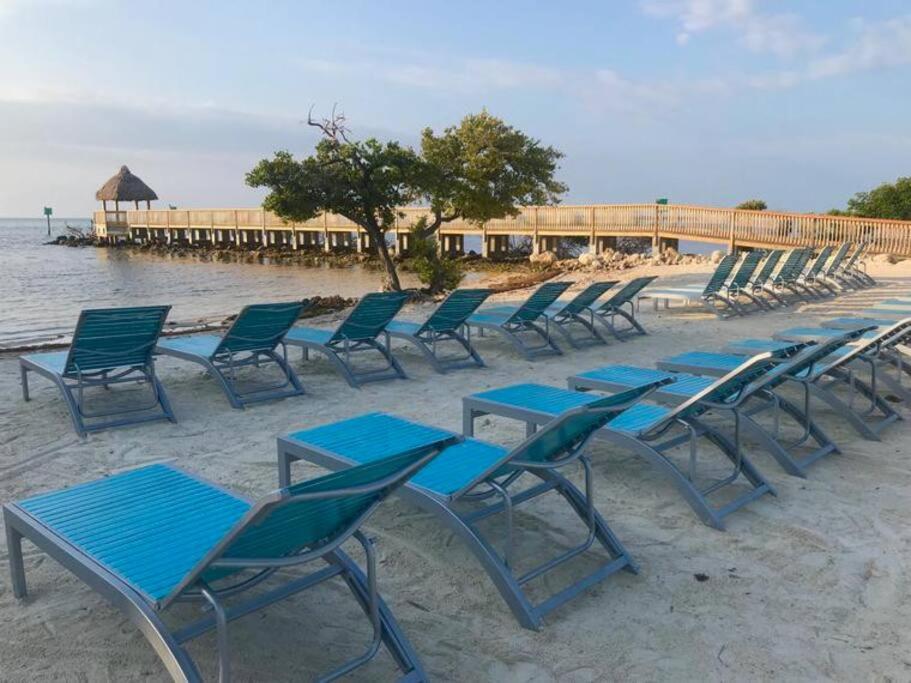 Welcome To The Pelican Lodge ! Tavernier Eksteriør billede